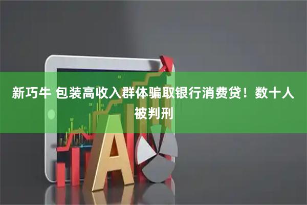 新巧牛 包装高收入群体骗取银行消费贷！数十人被判刑