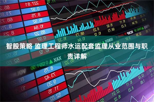 智股策略 监理工程师水运配套监理从业范围与职责详解